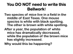 You DO NOT need to write this Bellwork!