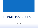 Pathogenesis of HBV Infections Acute Infection