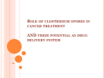 Role of clostridium spores in cancer treatment