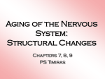 Aging of the Nervous System: Structural Changes