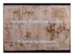 Coronary Blood Flow Models