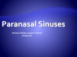 Nose and Paranasal Sinuses