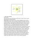 subatomic-particles