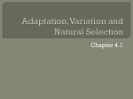 Adaption Variation and Natural Selection