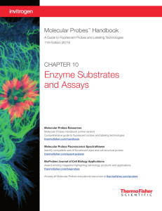 Enzyme Substrates and Assays