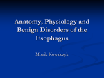 Esophagus Anatomy and Physiology