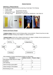 Chemical Reactions