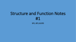 Structure and Function Notes #1