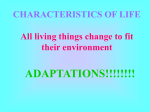 Types of Structural Adaptations