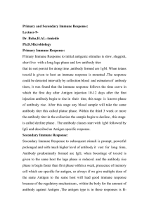 Primary and Secondary Immune Response: Lectuer-9