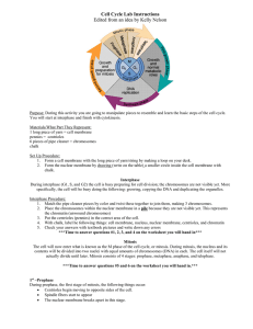 Cell Cycle Lab Instructions