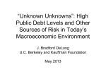 The “Unknown Unknowns”: Risks of Higher Public Debt Levels in