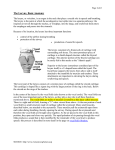 Page 1 of 2 The Larynx, Basic Anatomy The larynx, or voicebox, is