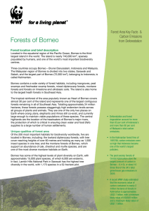 Forests of Borneo