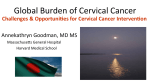 Global Burden of Cervical Cancer