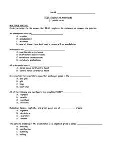 TEST-Chapter 38 Arthropods