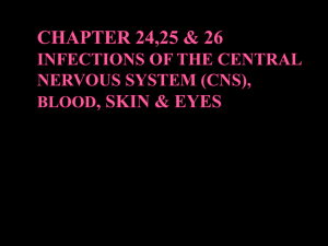 CHAPTER 24 INFECTIONS OF THE CENTRAL NERVOUS SYSTEM