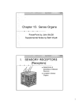Chapter 15: Sense Organs I. SENSORY RECEPTORS (Receptors)