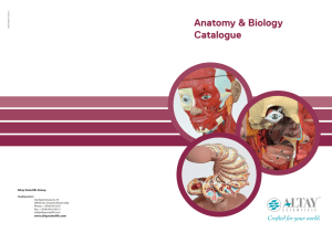 Anatomy and Biology Catalog