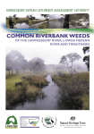 common riverbank weeds - Hawkesbury City Council