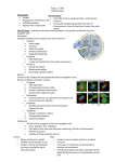 1.6 Cell Division