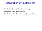 B- Metabolism of Fat metabolism in the well-fed state