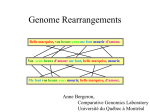 Applications of Genome Rearrangements