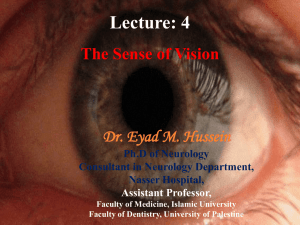 The sense of vision - Lightweight OCW University of Palestine