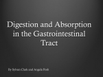 Digestion and Absorption in the Gastrointestinal Tract