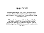 Epigenetics - Creighton Chemistry Webserver
