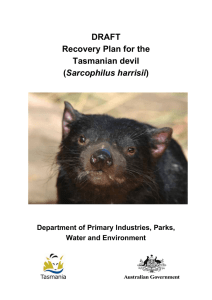 DRAFT Recovery Plan for the Tasmanian devil