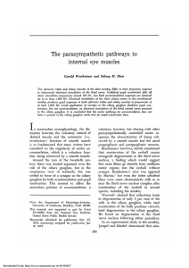 The Parasympathetic Pathways to Internal Eye Muscles