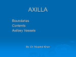 axilla - KSUMSC