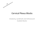Cervical)Plexus)Blocks)