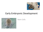 Early Embryonic Development