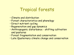 forests