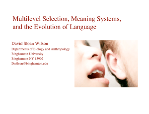 Multilevel Selection, Meaning Systems, and the Evolution of Language