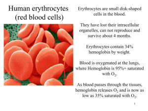 Principles of Biochemistry 4/e