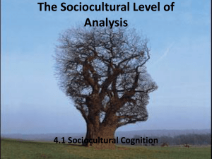 sociocultural cognition 4.1