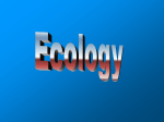 Ecology - Petal School District
