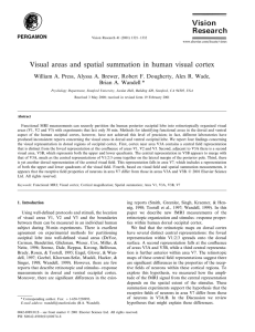 Visual areas and spatial summation in human visual cortex