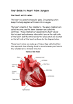 Heart Valve Surgery Booklet - Sydney Cardiothoracic Surgeons