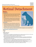 retinal_detachment