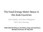 The Food-Energy-Water Nexus in the Arab Countries