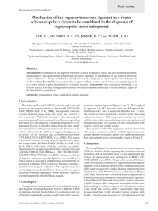 Ossification of the superior transverse ligament in a South African