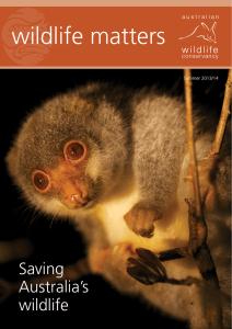 wildlife matters - Australian Wildlife Conservancy
