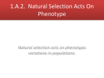 1.A.2. Natural Selection Acts On Phenotype