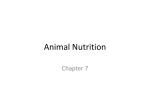Animal Nutrition - EMS Secondary Department