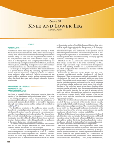 Chapter 57 - Knee and Lower Leg