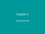 Chapter 4 Prokaryotic Cell